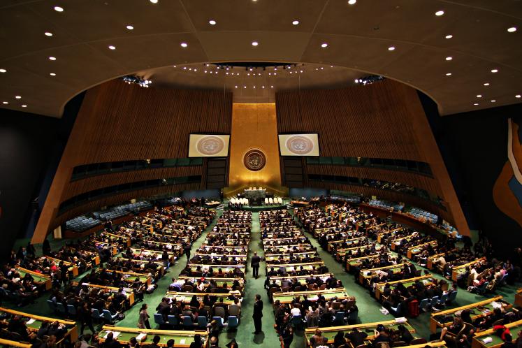 UN General Assembly adopts treaty to combat cybercrime globally  Nexovant