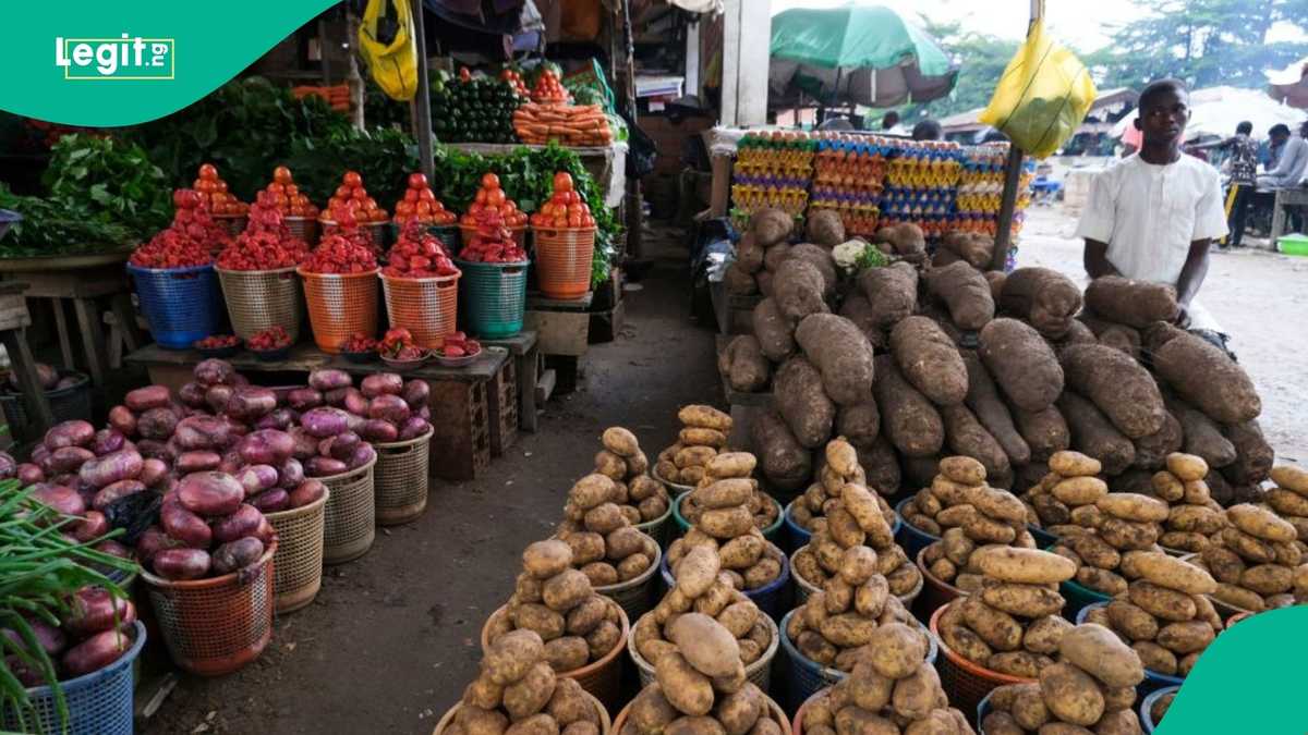 Nigeria’s food inflation in 2024: Experts break down the driving factors Nexovant